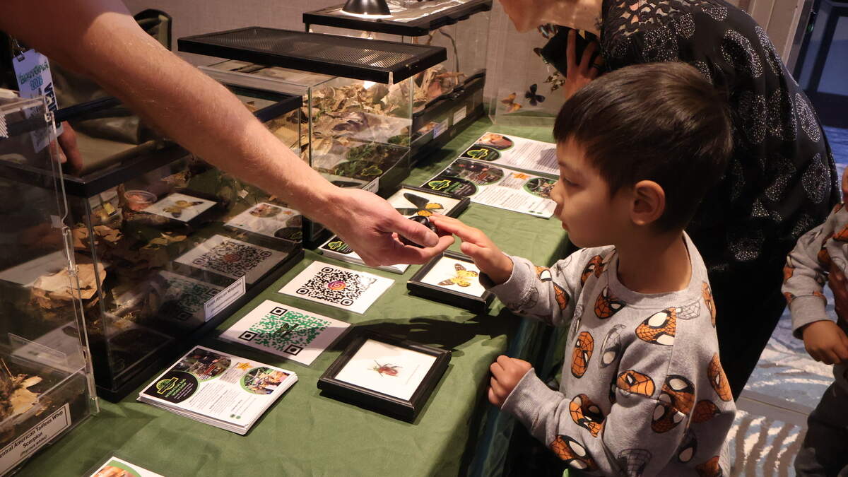 Nick McMurray demonstrates how to hold a millipede at his educational booth at the DoubleTree Hotel in Sacramento on Saturday.